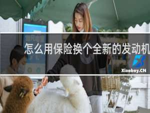 怎么用保险换个全新的发动机