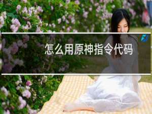 怎么用原神指令代码