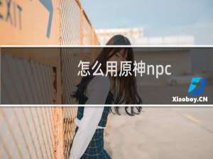 怎么用原神npc
