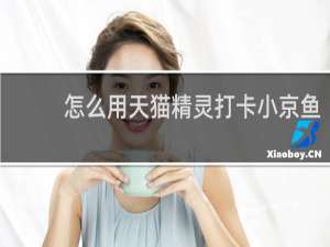 怎么用天猫精灵打卡小京鱼