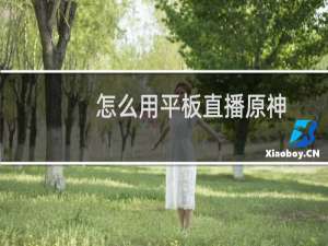 怎么用平板直播原神