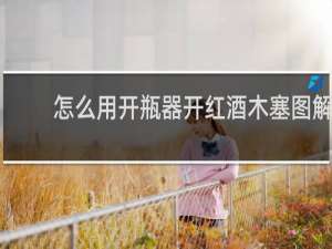 怎么用开瓶器开红酒木塞图解