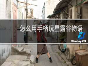 怎么用手柄玩星露谷物语