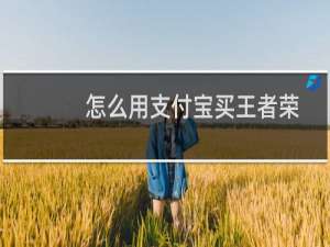 怎么用支付宝买王者荣耀点券（怎么用支付宝买东西）