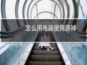 怎么用电脑使用原神