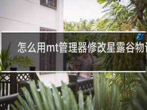 怎么用mt管理器修改星露谷物语