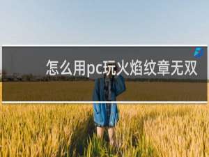怎么用pc玩火焰纹章无双