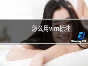 怎么用vim标注