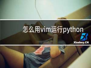 怎么用vim运行python