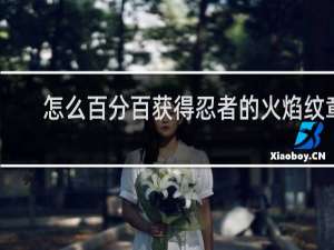 怎么百分百获得忍者的火焰纹章