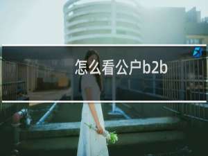 怎么看公户b2b