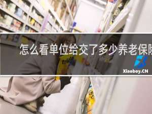 怎么看单位给交了多少养老保险