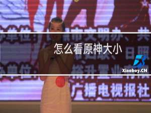 怎么看原神大小