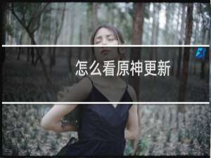 怎么看原神更新