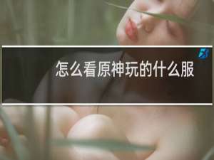 怎么看原神玩的什么服