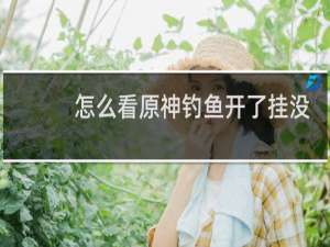 怎么看原神钓鱼开了挂没