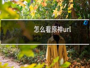 怎么看原神url