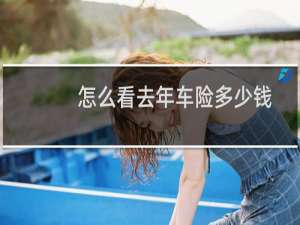 怎么看去年车险多少钱