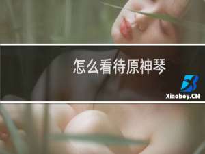 怎么看待原神琴