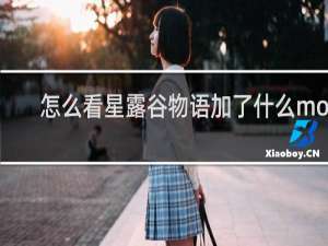 怎么看星露谷物语加了什么mod