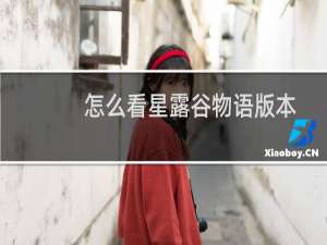 怎么看星露谷物语版本