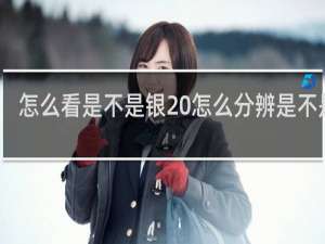 怎么看是不是银 怎么分辨是不是银