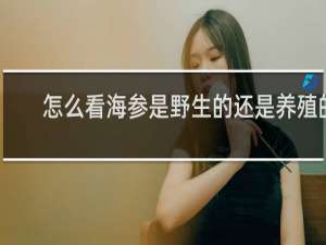 怎么看海参是野生的还是养殖的