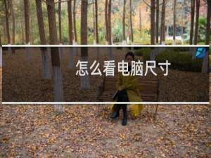 怎么看电脑尺寸（怎么看电脑尺寸）