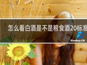 怎么看白酒是不是粮食酒 标准号