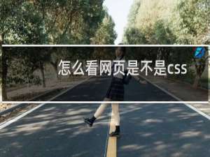 怎么看网页是不是css