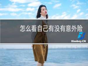 怎么看自己有没有意外险