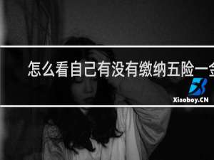 怎么看自己有没有缴纳五险一金