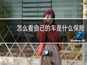 怎么看自己的车是什么保险