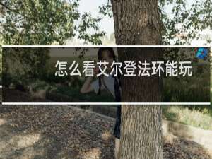 怎么看艾尔登法环能玩