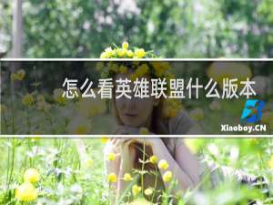 怎么看英雄联盟什么版本