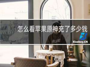 怎么看苹果原神充了多少钱