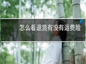 怎么看退货有没有运费险