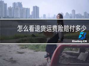 怎么看退货运费险赔付多少