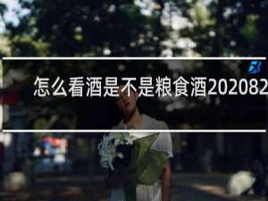怎么看酒是不是粮食酒 20822