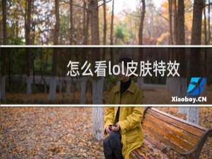 怎么看lol皮肤特效