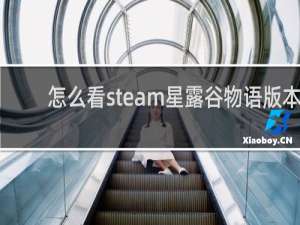 怎么看steam星露谷物语版本