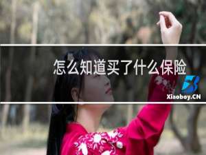 怎么知道买了什么保险