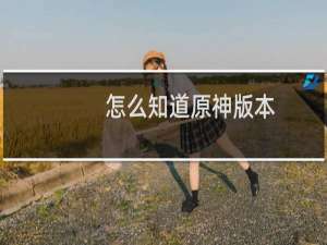 怎么知道原神版本