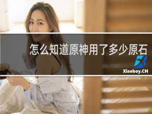 怎么知道原神用了多少原石