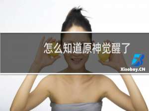 怎么知道原神觉醒了