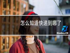 怎么知道快递到哪了
