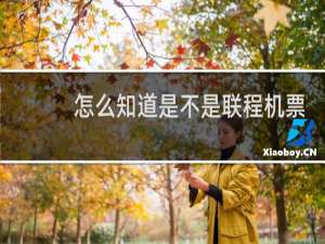 怎么知道是不是联程机票