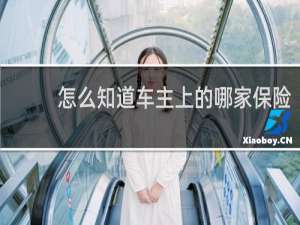 怎么知道车主上的哪家保险