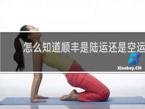 怎么知道顺丰是陆运还是空运