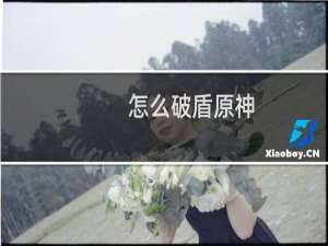 怎么破盾原神